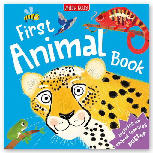 Picture of MILES KELLY FIRST ANIMAL BOOK